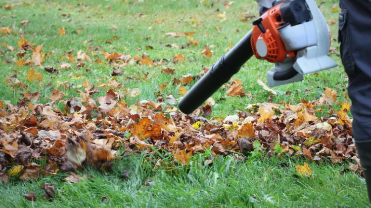 Cordless Leaf Blowers