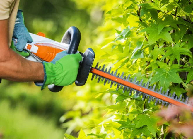 Hedge Trimmer